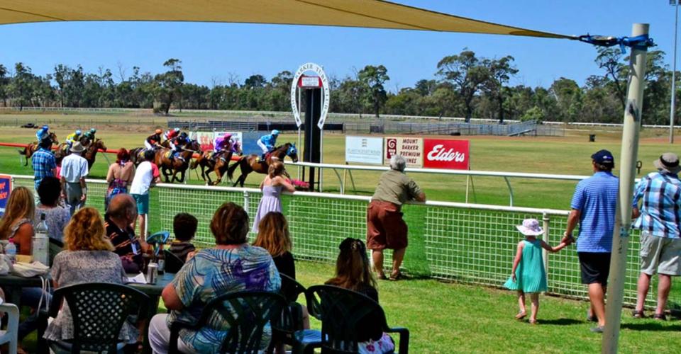 Grapes and gallops festival